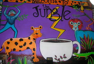 Java Jungle coffee house Reno