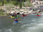 IMG 6521