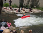 IMG 6537
