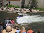 IMG 6554