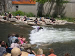 IMG 6556