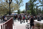 IMG 6578