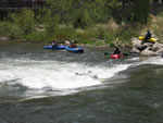 IMG 6605